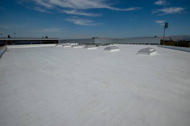 Best Asphalt Shingle Roofing  in Capitol View, SC
