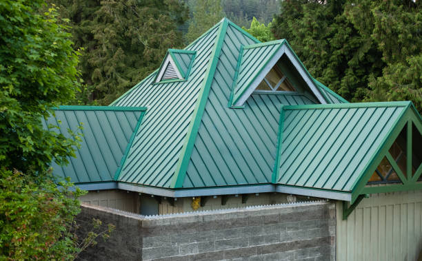 Best Sheet Metal Roofing  in Capitol View, SC