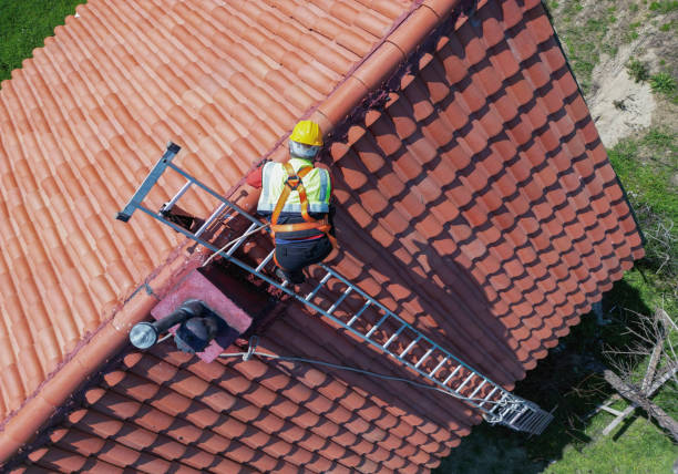 Best Skylight Installation and Repair  in Capitol View, SC