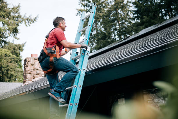 Best Roof Insulation Installation  in Capitol View, SC
